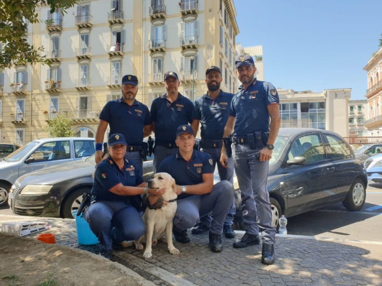 Napoli, la Polizia salva un labrador abbandonato in macchina sotto il sole