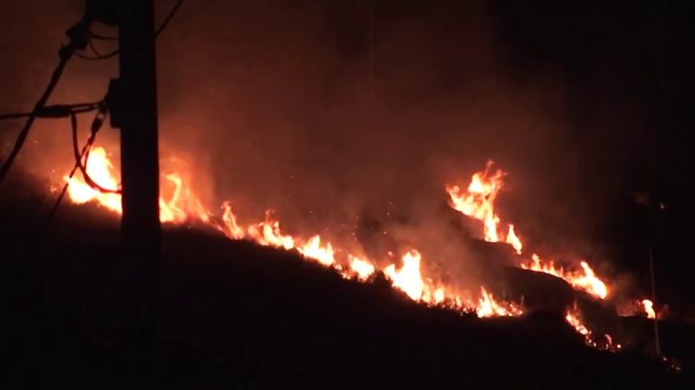 Le colline di Ischia ancora una volta avvolte dalle fiamme