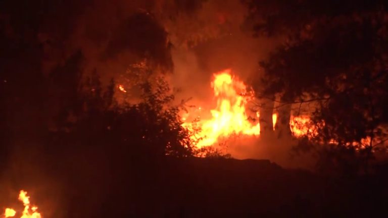 Sarno, monte Saretto in fiamme, evacuate 200 persone. Il sindaco: “Incendio doloso”