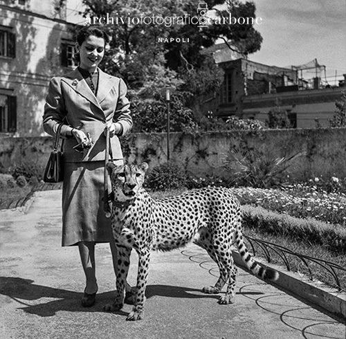Chi è la misteriosa “Donna con ghepardo” dell’Archivio Fotografico Carbone?