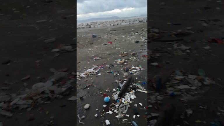 Maltempo, la spiaggia della rotonda Diaz si trasforma in una distesa di plastica