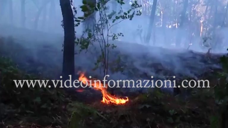 Allarme piromani in Campania: in aumento gli incendi boschivi