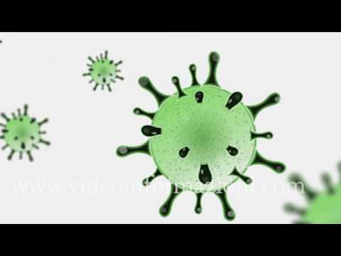 Coronavirus, continua a scendere la curva dei contagi: 44 nuovi positivi in Campania
