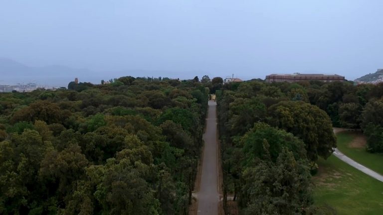 Il Bosco di Capodimonte riapre: viali restaurati e mille nuovi alberi piantati