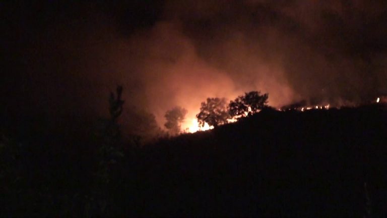 Contrasto agli incendi boschivi, piano della Regione Campania da oltre 51 milioni
