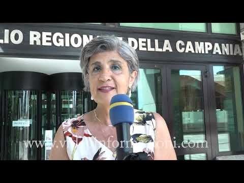 Elezioni regionali 2020, la voce dei candidati