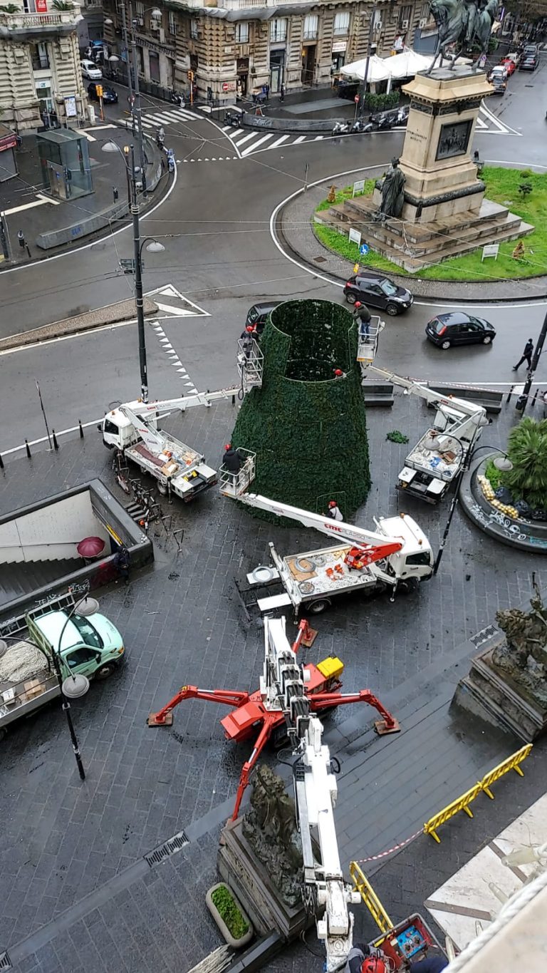 Da sabato 5 dicembre si accende l’albero di Natale della Camera di Commercio