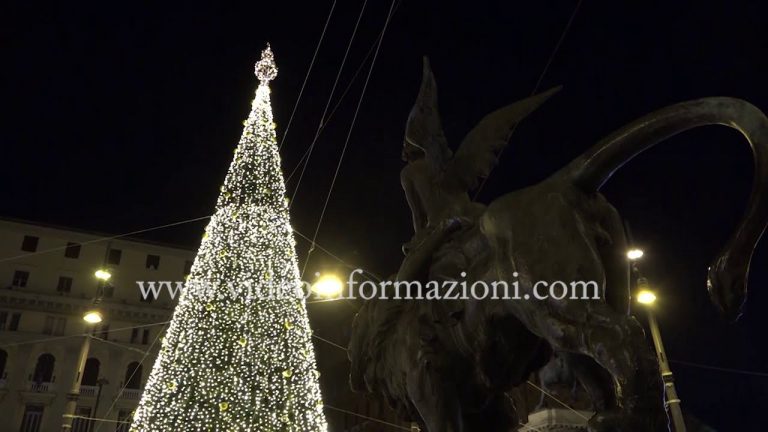 L’albero della Camera di Commercio si illumina per un Natale di speranza