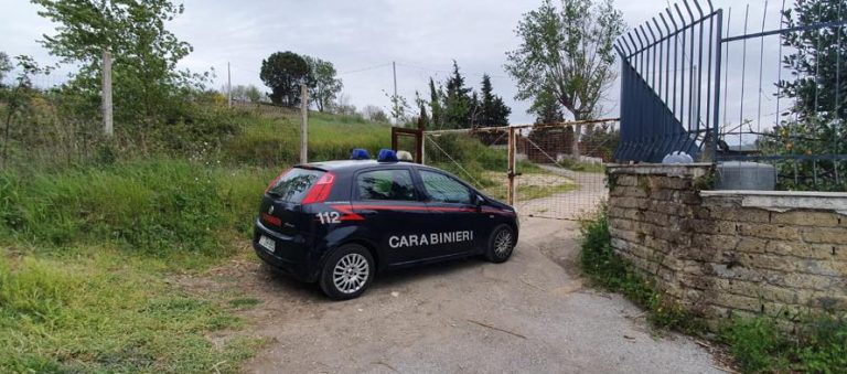 Occupa un terreno di 7mila metri quadri nell’area protetta: denunciato 26enne