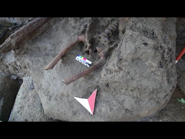 Agli scavi di Ercolano il fuggiasco ritrovato che voleva mettersi in salvo col suo tesoro