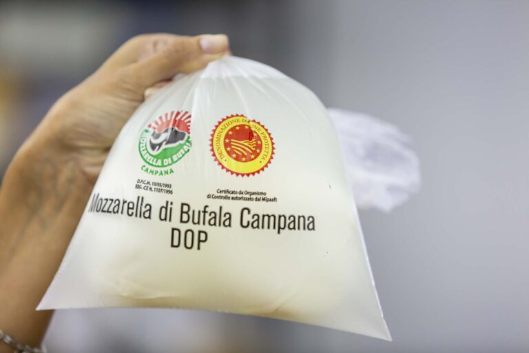 Mozzarella bufala campana Dop: volano consumi ed export
