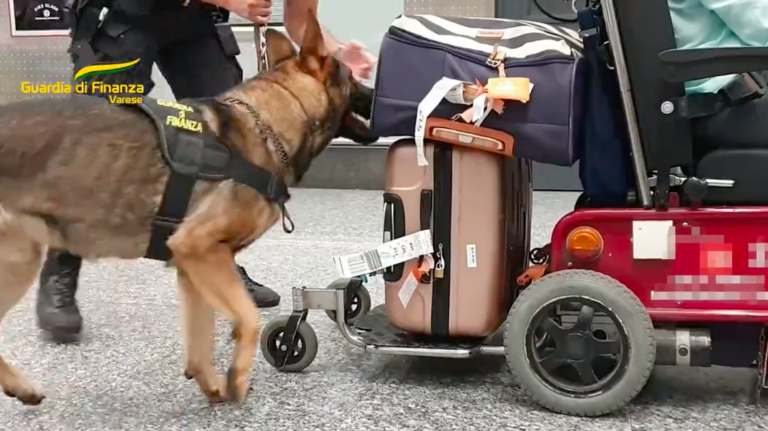 Coca nelle ruote carrozzina, disabile scoperto da cane antidroga in aeroporto