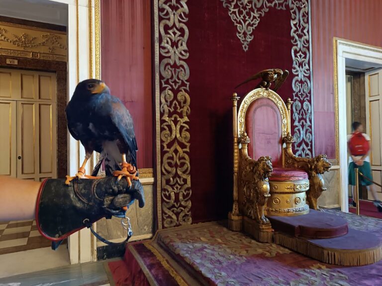 Falconieri a Palazzo Reale di Napoli, come assistere all’esibizione