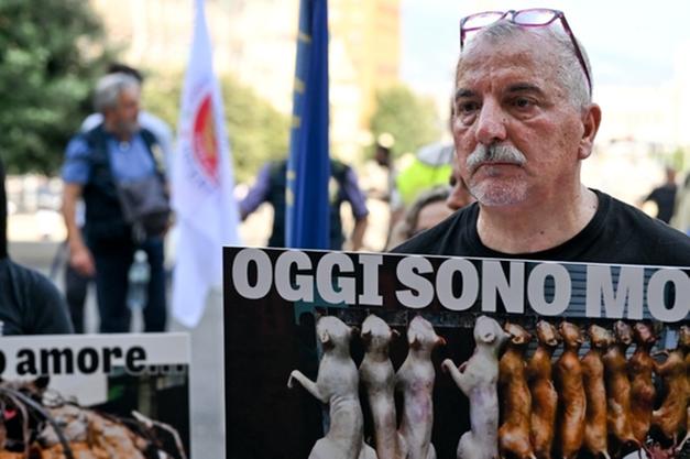 Festival carne di cane in Cina, orrore e protesta a Napoli