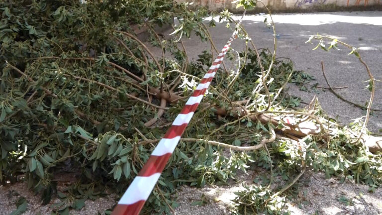 Parco Mascagna incuria e degrado