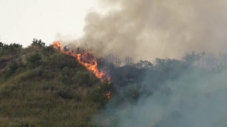 Allarme incendi in tutta la Campania