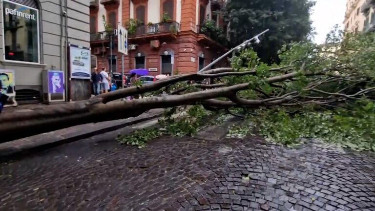 Maltempo flagella Napoli, albero crollato paralizza Vomero