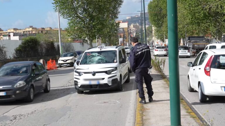 taxi investe pedone