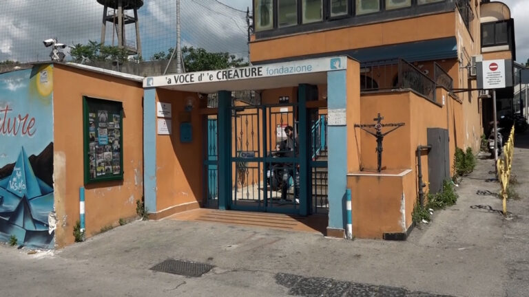 Auto contro cancello fondazione "A Voce de' creature"