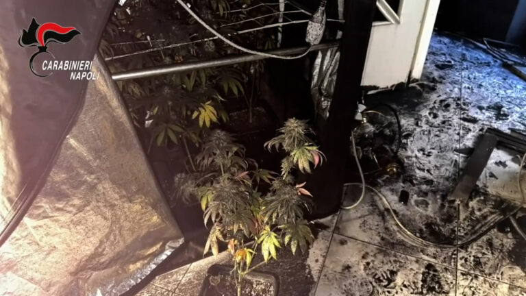 Incendio appartamento a Caivano: scoperta serra di marijuana