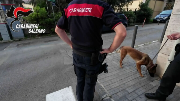 Maxi operazione anti-droga nell'Agro Nocerino sarnese: 10 arresti