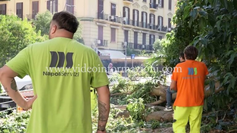 Napoli, allarme per caduta alberi e condizione del verde cittadino