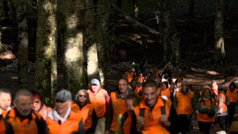 Eco-itinerari dei due Golfi: il Monte Faito riscopre la sua anima tra natura, fede e agricoltura