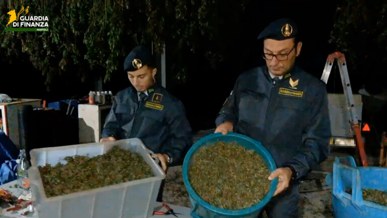 Narcotraffico, sui monti Lattari Gdf sequestra 1 t di cannabis