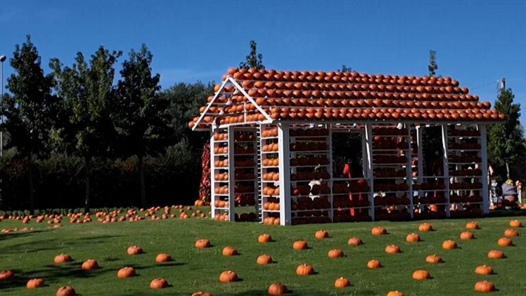 Giardino delle Zucche Pumpking Patch, al via IX edizione