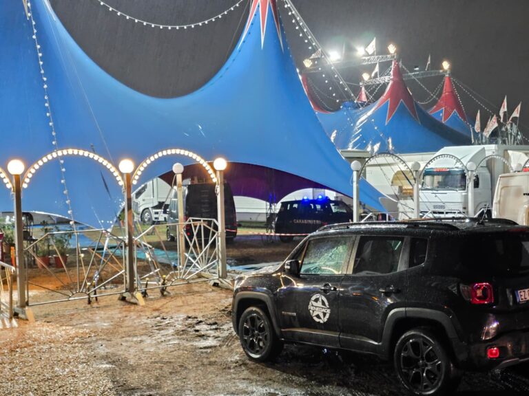 Terrore al circo, muore stuntman motociclista durante lo spettacolo