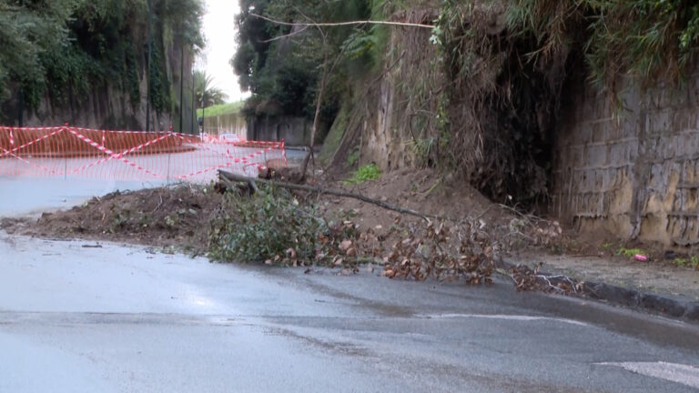 Maltempo in Campania: esondazioni di fiumi, caduta di alberi e frane
