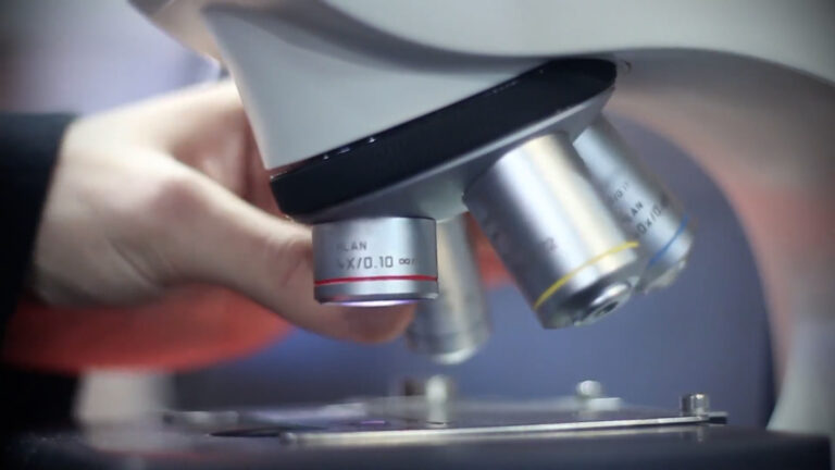 ordine biologi campania e molise