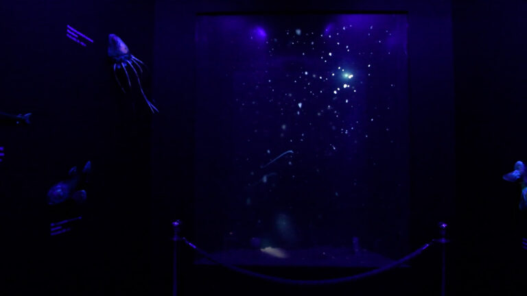 la mostra “Veleni d’Amare”