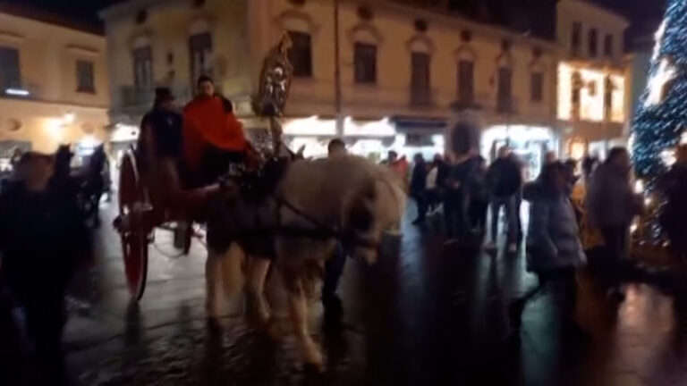 Nocera Inferiore, cavallo muore a causa di un malore durante la cavalcata dei re magi
