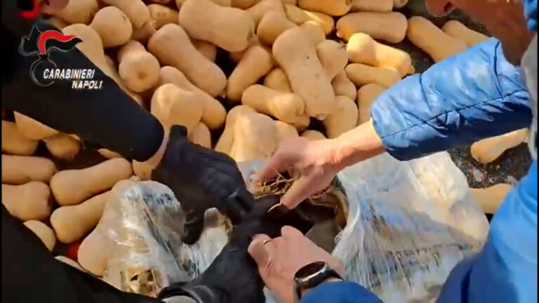 Caserta, maxi sequestro di droga: trovati oltre 300kg di hashish