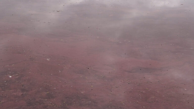 Il lago d’Averno si colora di rosa: ecco le motivazioni