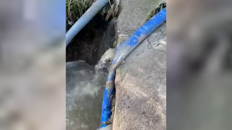 Allarme epatite, l’ambientalista Mercurio “Il problema sono gli scarichi in mare”