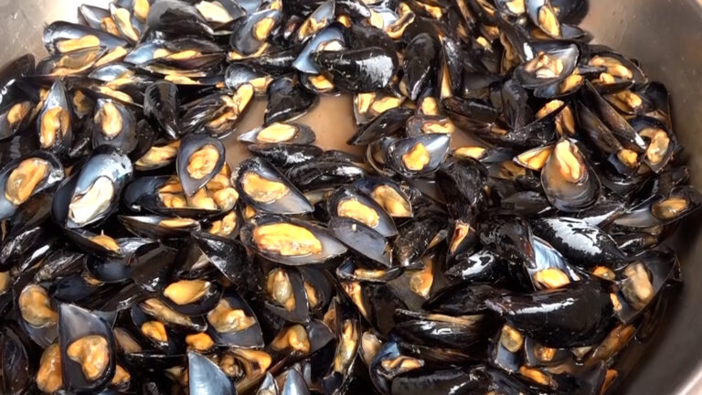 Boom casi epatite a Napoli: stop alla vendita dei frutti di mare