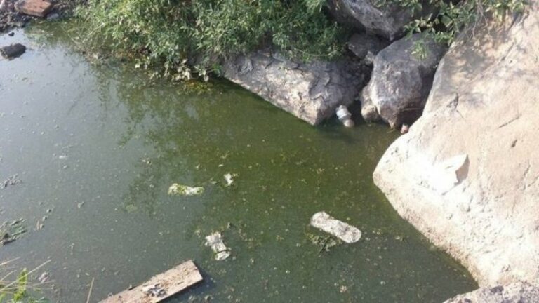 Le forze dell'ordine hanno rilevato che la falegnameria non collegava i propri scarichi alla pubblica fognatura. Gli scarichi venivano invece convogliati attraverso un canale di scolo, e senza alcun trattamento depurativo, sulla scogliera e da lì, direttamente a mare