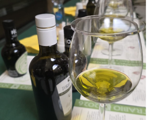 Premio Extrabio per gli oli, ecco i vincitori dell’edizione 2026