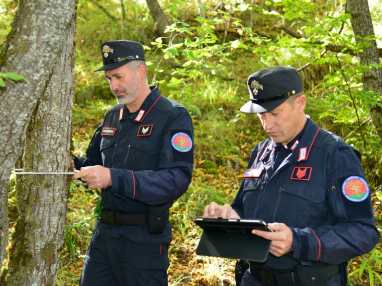 Vernici e resine tossiche smaltite da 26enne rumeno pluripregiudicato nel Parco Nazionale del Vesuvio a Boscotrecase
