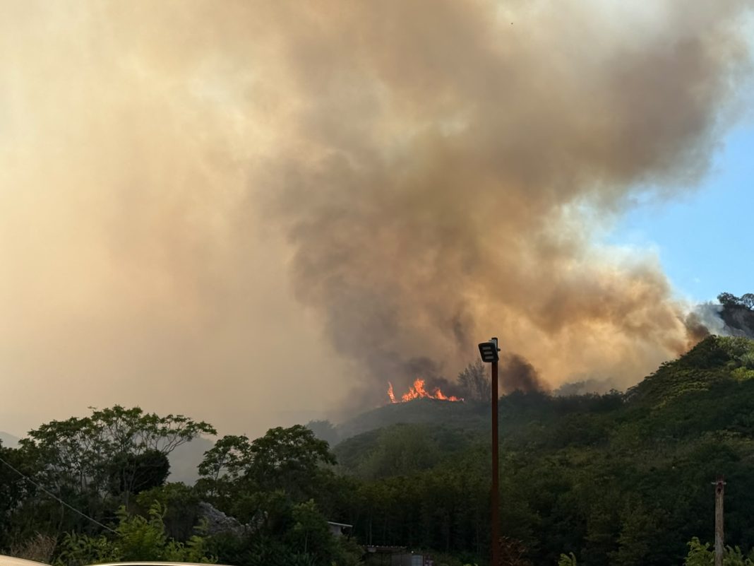 Domato l'incendio tra Agnano e Pozzuoli. Distrutte 42 auto e ha costretto all'evacuazione 22 persone poi ritornate a casa in serata