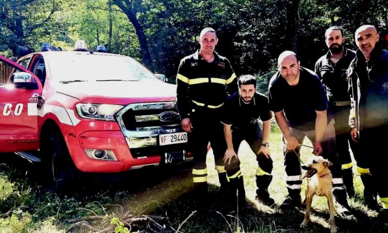 Un segugio maremmano scivola in una gola del Monte Partenio: salvataggio in elicottero