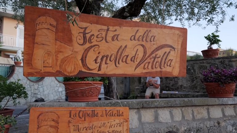 festa della cipolla di vatolla