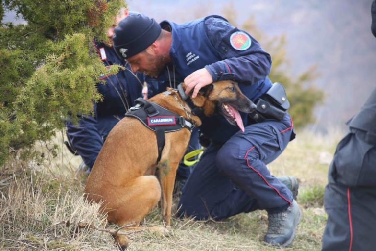 I carabinieri scoprono della droga nella cameretta di un sedicenne a Pozzuoli: arrestato dinanzi ai genitori